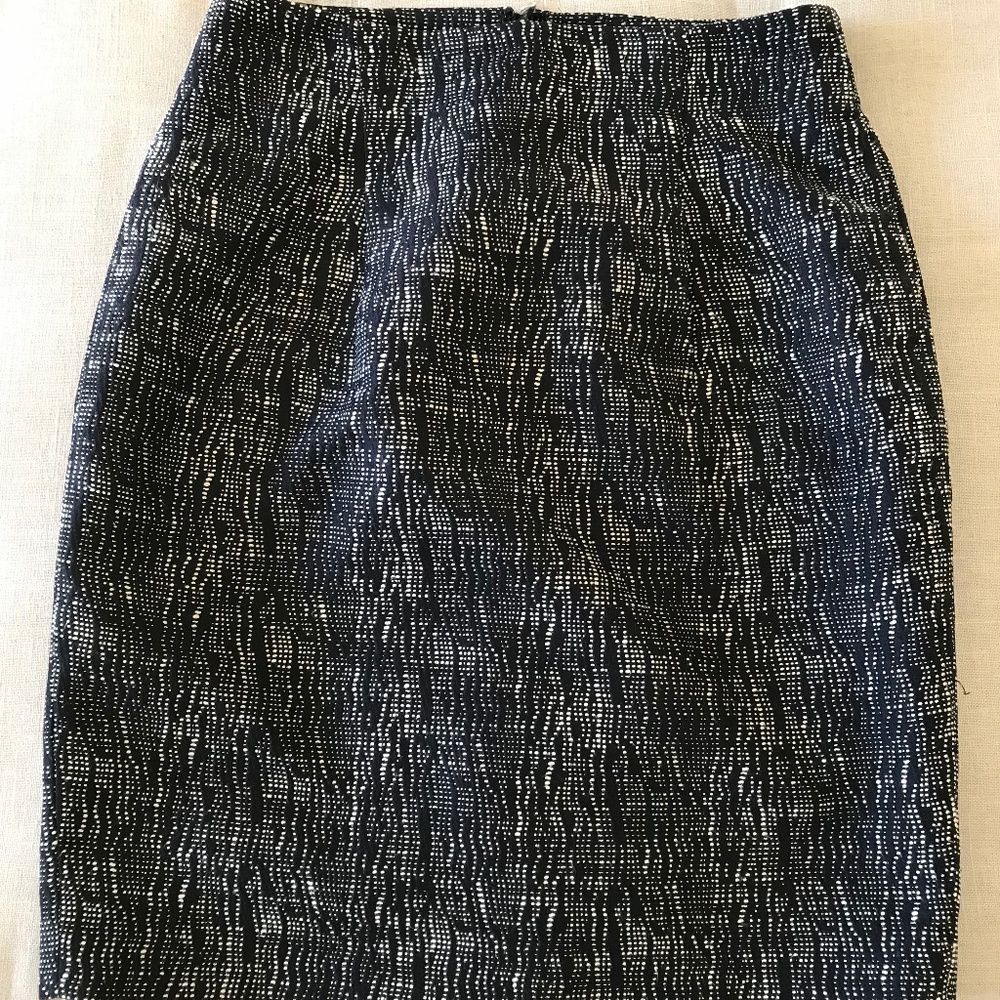 The Limited Sophie Theallet Skirt